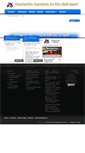 Mobile Screenshot of kin-ball.es